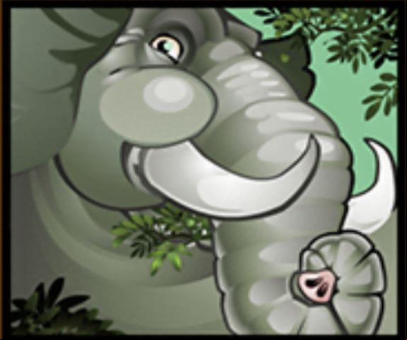 Mega Moolah - Elephant symbol