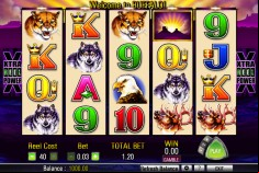 Select your Bet