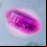 Purple gem