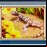 Lizard