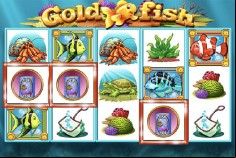 Spin the Reels