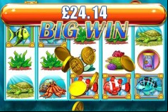 Win Goldfish Slot