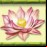 Lotus flower